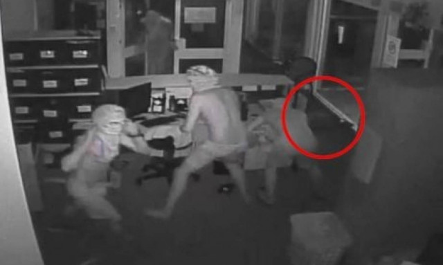 Τρόμος σε σχολείο: Άφησαν ελεύθερους τρεις πεινασμένους κροκόδειλους! (vid)