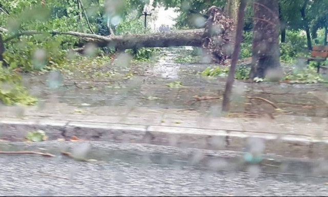 Σκηνές «Αποκάλυψης» στα Τρίκαλα: Ξεριζώθηκαν δέντρα και βούλιαξαν σπίτια (video+photos)