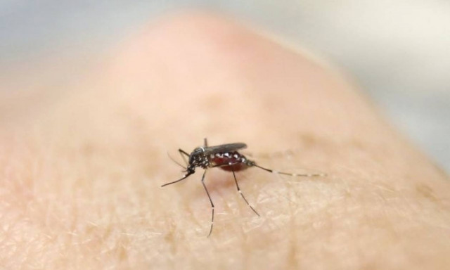 Κίνα: Αρνητικό αποδείχθηκε το πρώτο ύποπτο κρούσμα του ιού Ζίκα