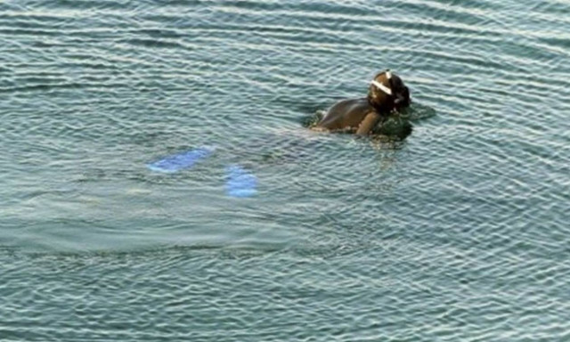 Αγνοείται ψαροντουφεκάς στο Πόρτο Ράφτη