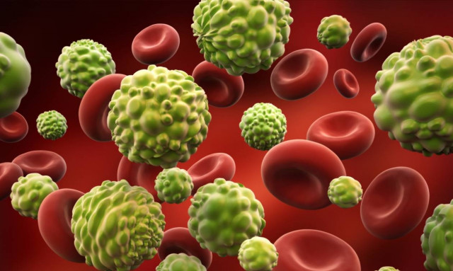 Αυτό είναι το ζώο που κατάφερε να αντισταθεί στον καρκίνο και να σώσει το είδος του!