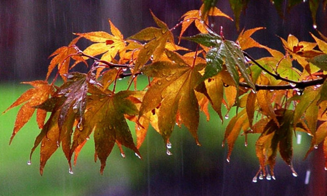 Καιρός: Με βροχές και ισχυρές καταιγίδες μπαίνει ο Σεπτέμβριος