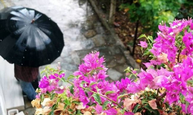 Weather Forecast: Rain on Tuesday (06/09/2016)