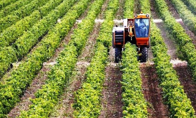 Αναπτυξιακά Προγράμματα: Επιδοτήσεις 1,5 δισ. για παραγωγή και μεταποίηση