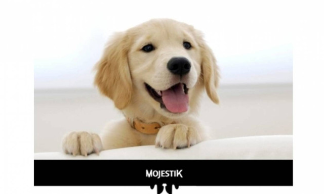 Νέα Ελληνική Premium ξηρά τροφή για το σκύλο σας