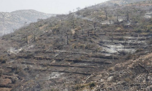 Πέθανε η ηλικιωμένη που είχε υποστεί βαριά εγκαύματα στη φωτιά της Χίου
