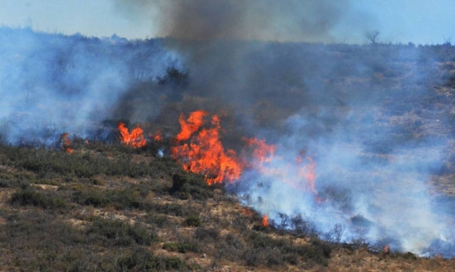 Υπό μερικό έλεγχο η φωτιά στο Άγιο Όρος