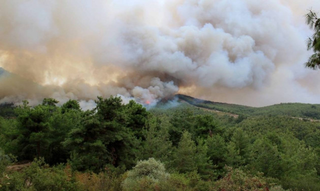 Εικόνες – σοκ από την καμένη Θάσο