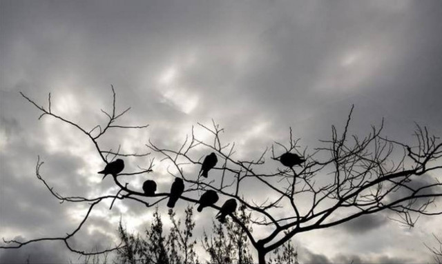 Καιρός: Πού θα βρέξει την Τρίτη (13/9) - Αναλυτική πρόγνωση