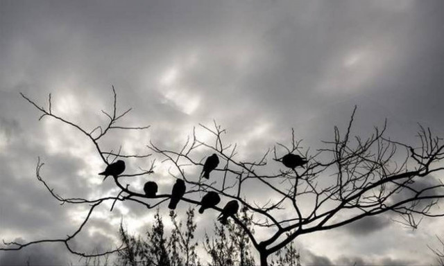 Weather Forecast: Partly cloudy on Tuesday (13/09/2016)