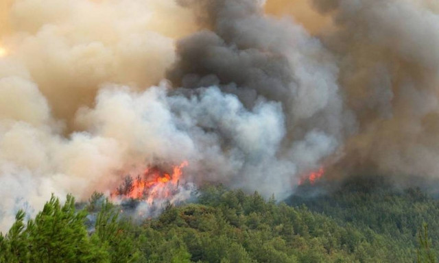 Wildfire on Thassos under partial control