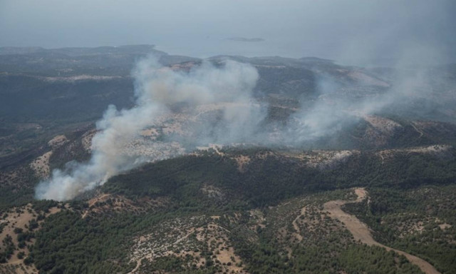 Θάσος: Υπό πλήρη έλεγχο όλα τα πύρινα μέτωπα