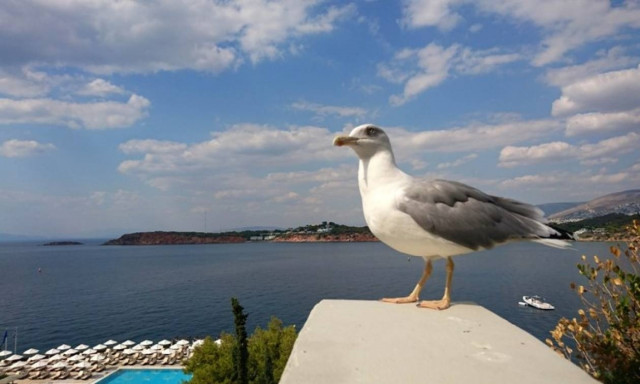 Weather Forecast: Mostly fair on Friday (16/09/2016)