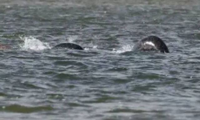 Σάλος: Είναι αυτή η πιο καθαρή φωτογραφία από το τέρας του Λοχ Νες;