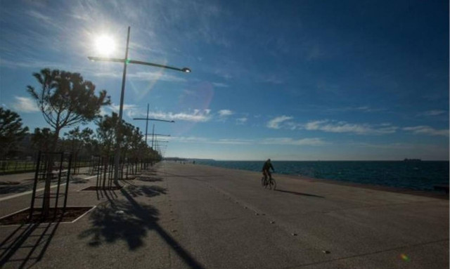 Θλιβερό θέαμα στη Θεσσαλονίκη: Η θάλασσα ξέβρασε νεκρό δελφίνι