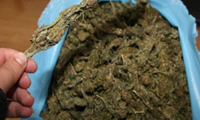 Νέο «χτύπημα» της ΕΛ.ΑΣ στην Κρήτη: Τριμελής οικογένεια συνελήφθη για εμπόριο χασίς