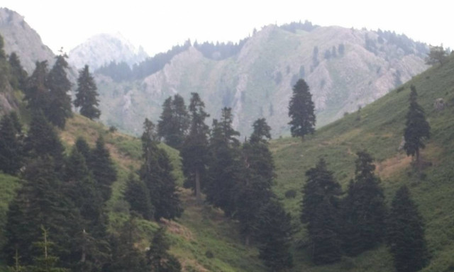 Τι είδαν οι κάτοικοι στα ορεινά χωριά των Τρικάλων και «πάγωσαν»;