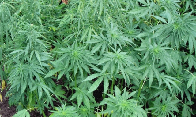 Ρέθυμνο: Οι δουλειές με «φούντες» έφεραν την προφυλάκιση