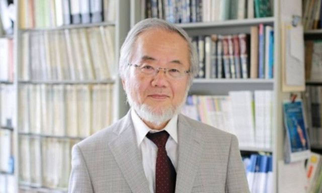 Medicine Nobel for cell recycling work