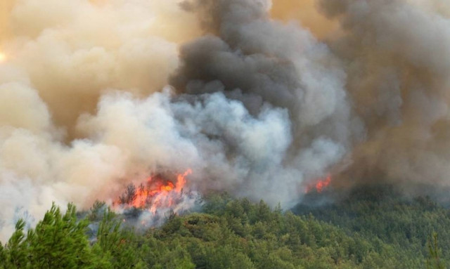 Υπό έλεγχο η φωτιά στον Αυλώνα