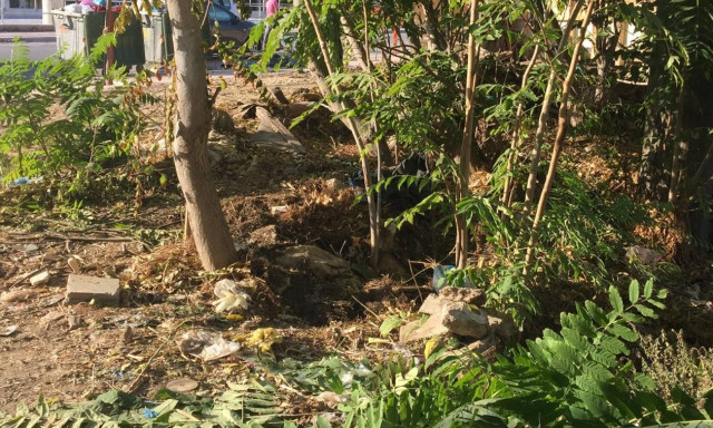 Θρίλερ στους Αγίους Αναργύρους με πτώμα γυναίκας