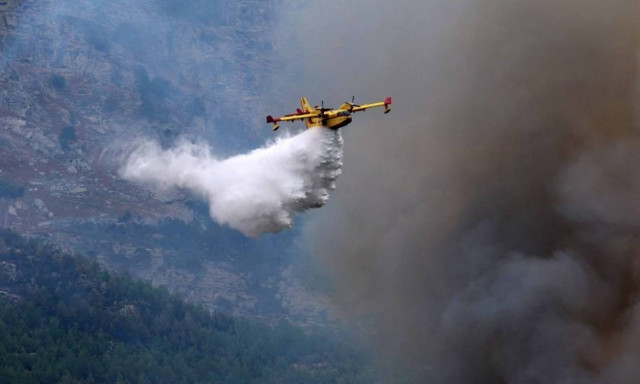 Φωτιά μαίνεται στην Αλεξανδρούπολη
