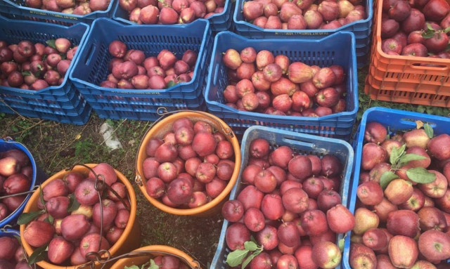 Όταν μηλά-ει η ιστορία και… ταξιδεύει μέχρι το ράφι!