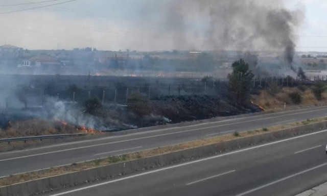 Συναγερμός! Φωτιά στην Εγνατία Οδό