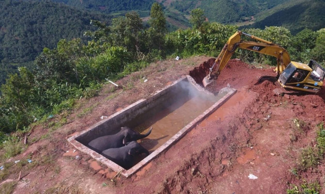 Κίνα: Κινηματογραφική διάσωση παγιδευμένων ελεφάντων σε δεξαμενή! (video)