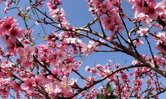 Ο καιρός έχει κέφια – Έρχεται και πάλι Άνοιξη;