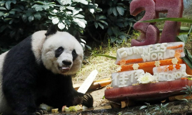 Πέθανε το γηραιότερο πάντα στον κόσμο