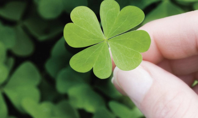 Ρόδος: Πώς με 2,5 ευρώ έλυσε μια για πάντα το οικονομικό του πρόβλημα!