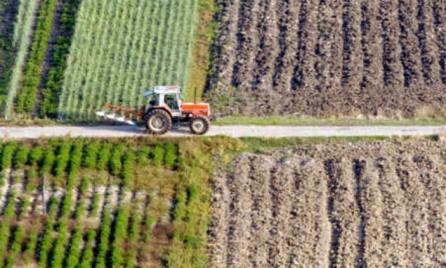 Περιφέρεια Θεσσαλίας: Πληρωμές δικαιούχων «ευαίσθητων νιτρικών περιοχών»