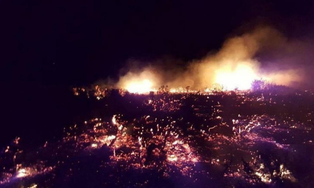 Νάξος: Μάχη των πυροσβεστών με το ανεξέλεγκτο μέτωπο στον Άγιο Κωνσταντίνο