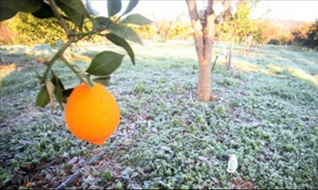 ΕΛΓΑ: Πότε πιστώνονται οι λογαριασμοί 1.311 δικαιούχων αγρότες