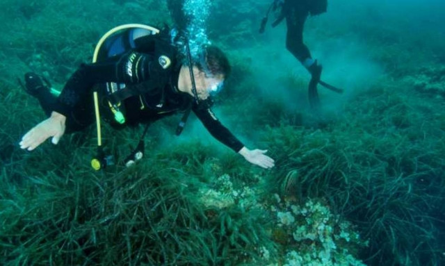 Δήμος Αποκορώνου: Φτιάχνει καταδυτικό κέντρο