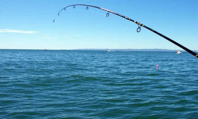 Σκόπελος: Έριξαν παραγάδι και …έμειναν με το στόμα ανοιχτό! (pic)