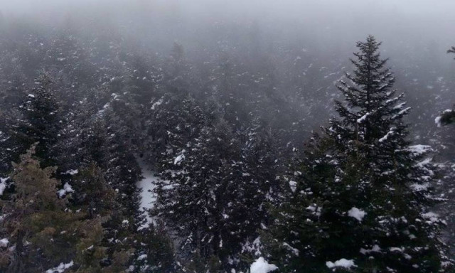 Weather Forecast: Rain, snow and gusty winds on Tuesday (29/11/2016)