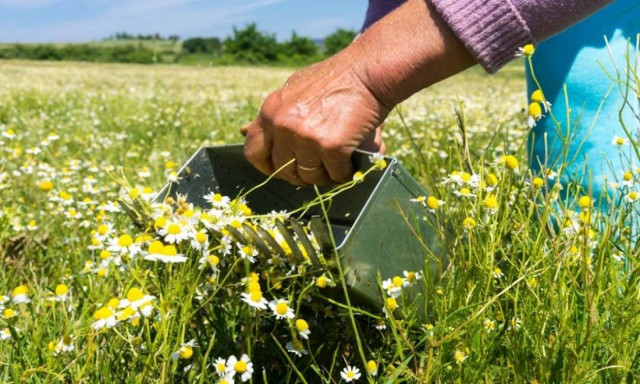 Έρχεται φορο-βόμβα για χιλιάδες αγρότες