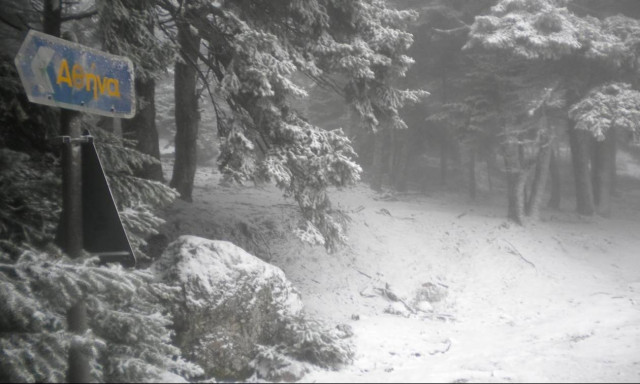 Απίστευτο βίντεο: Το... έστρωσε ήδη στην Πάρνηθα - Δείτε LIVE!