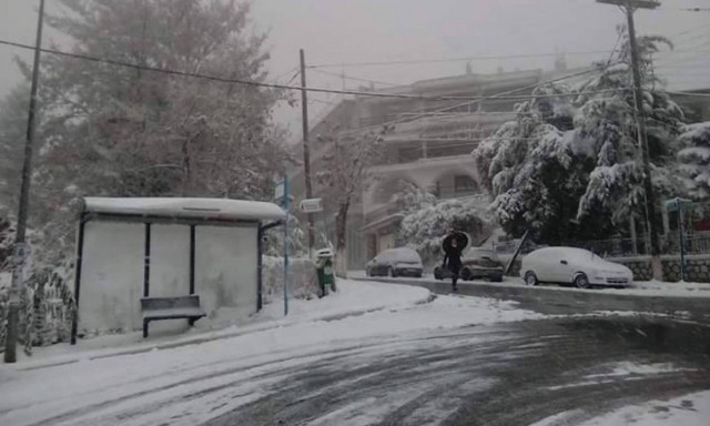 Κακοκαιρία: Στα λευκά η Θεσσαλονίκη - Μαγευτικές εικόνες (photo-video)
