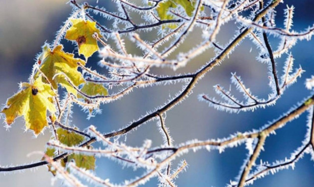 Καιρός: Παγετός και βροχές το Σαββατοκύριακο - Αναλυτική πρόγνωση