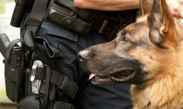 Όσοι καταγγέλθηκαν σε ένα μήνα από την Αστυνομία Κύπρου