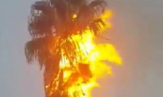 Κεραυνός έπεσε σε δέντρο και προκάλεσε τον πανικό σε κατοικημένη περιοχή στη Λεμεσό (photo)