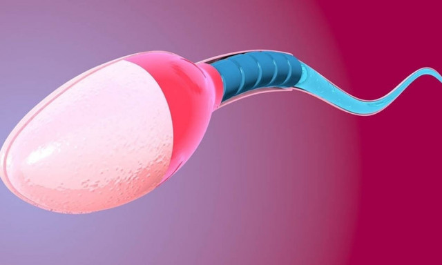 Ανδρική γονιμότητα: Με πόση γυμναστική και σε πόσο διάστημα μπορεί να βελτιωθεί