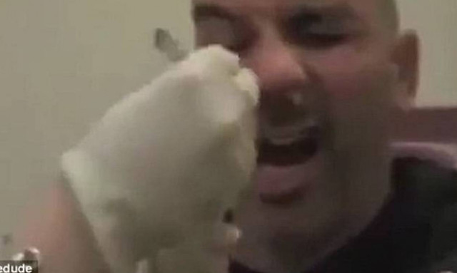 Ένα παράσιτο «ζούσε» μέσα στη μύτη του – Αντέχετε να δείτε πως βγήκε; (video)