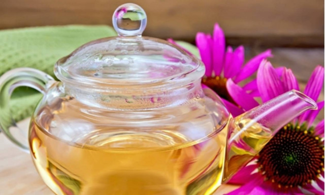 Πες μου τι ζώδιο είσαι, να σου πω ποιο βότανο να πάρεις!