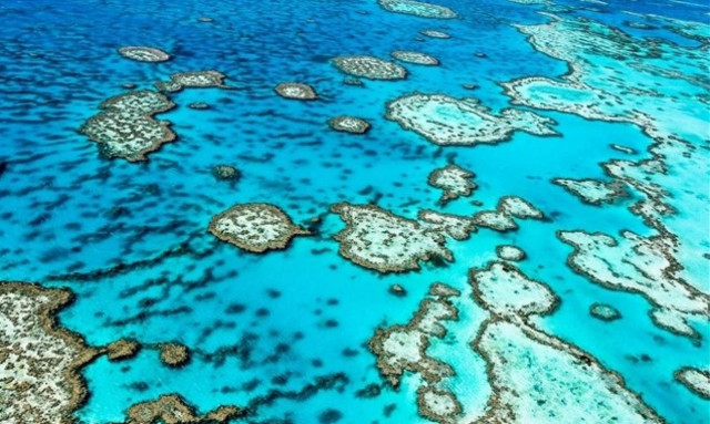 Τρόμος στην Αυστραλία από το «αόρατο τέρας» - Τουλάχιστον 10 νεκροί