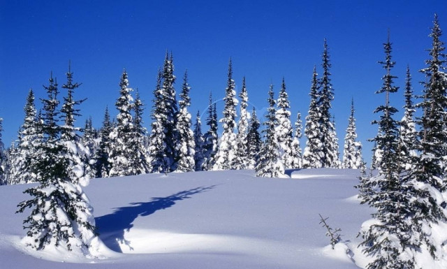 Καιρός: Απίστευτο - Δείτε σε ποια περιοχή της Ελλάδας θα χιονίσει σήμερα