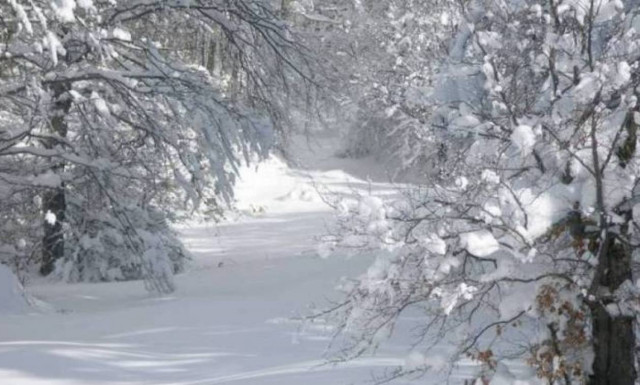 Καιρός: Το «έστρωσε» για τα καλά! (photos)